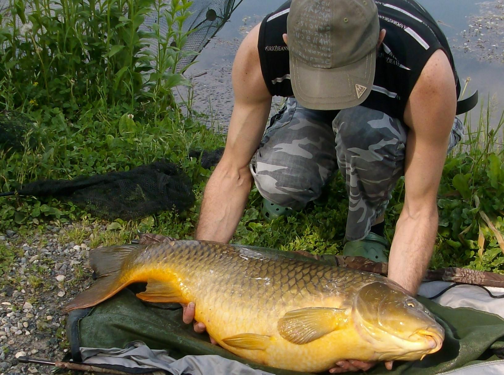 florian tanasa - alim0570.JPG